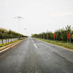 國(guó)有三門(mén)峽陜州區(qū)S245西張村段道路沿線綠化一標(biāo)段